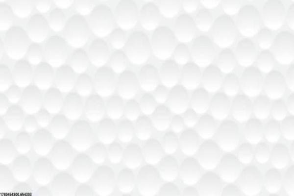 家庭如何支持孩子的体育训练？(图1)